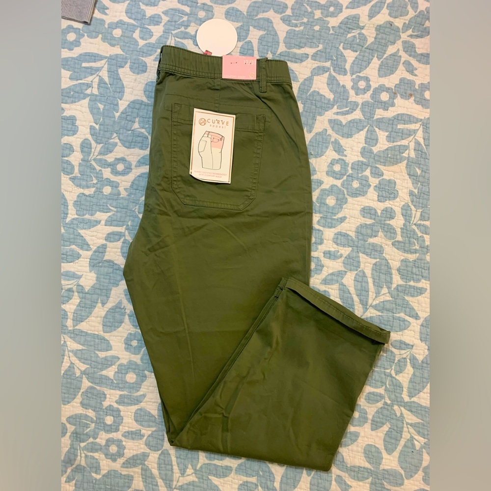 Curve Appeal Chino Pants
